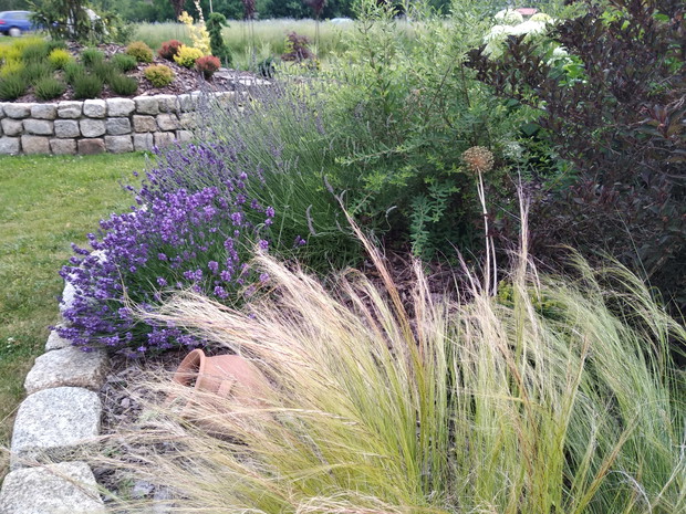 Trawy w ciągłym kołysaniu...