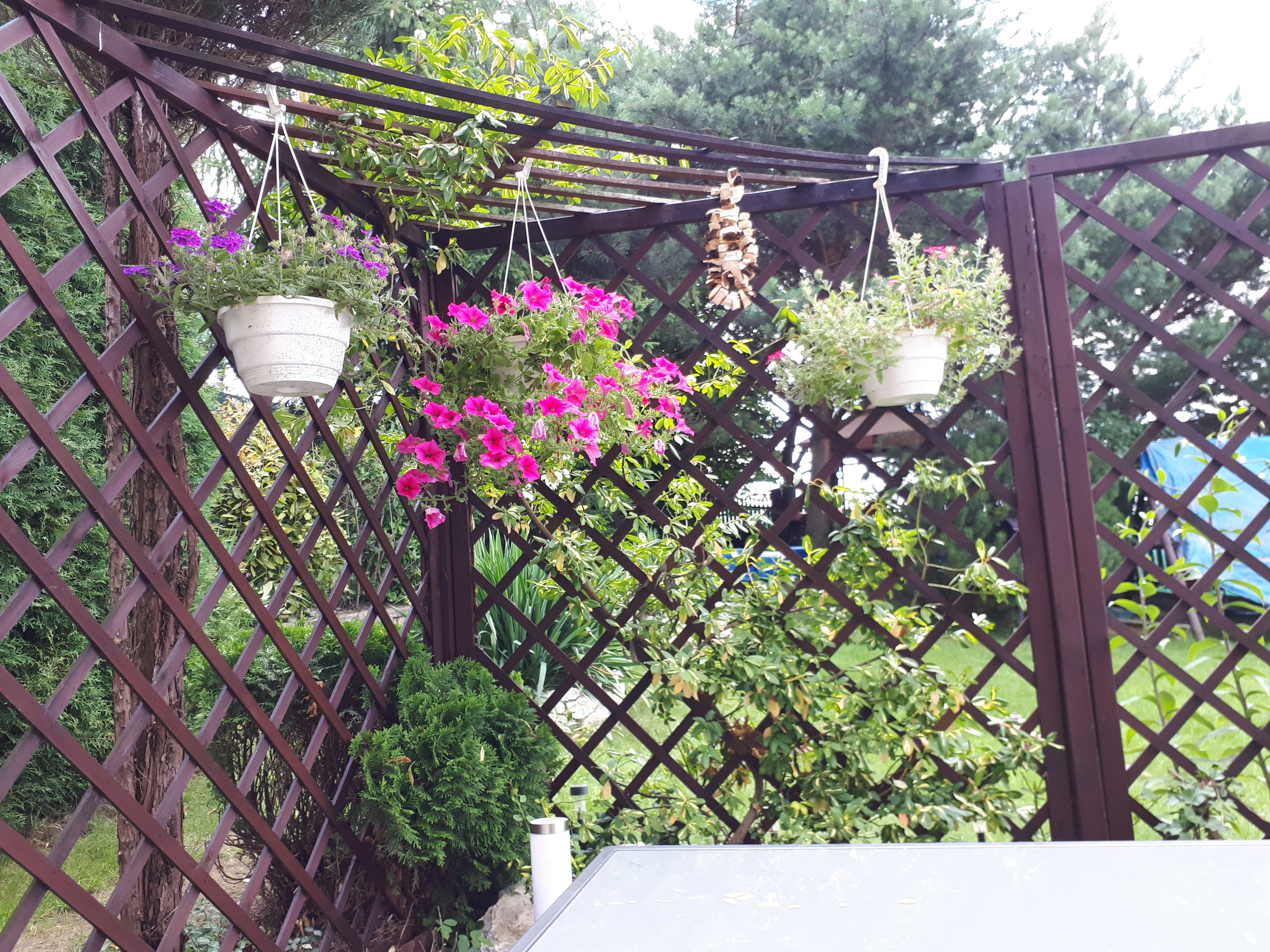 Tu odbywa się suszenie grzybków 