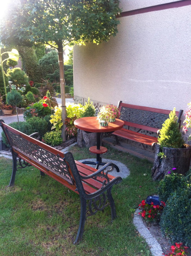 Upały mniej dokuczliwe gdy można schować się w cieniu klonu 