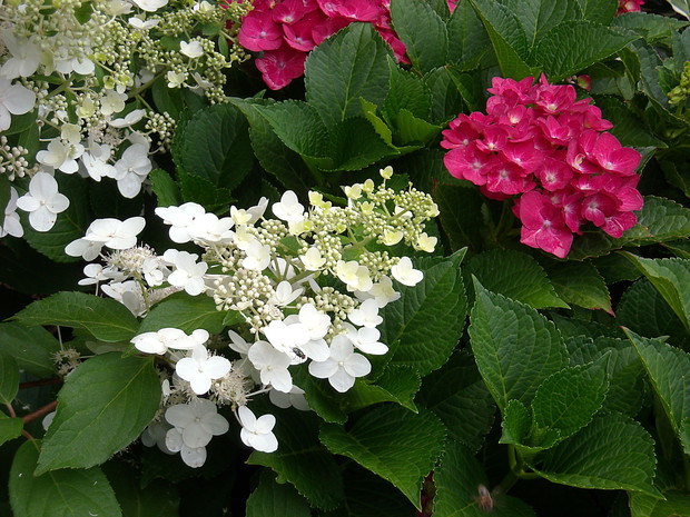 W barwach narodowych!