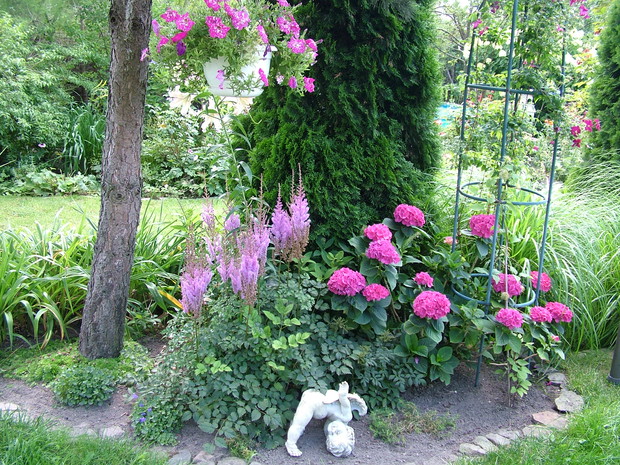 W jednej tonacji kolorystycznej, wcześniej kwitną tu tulipany, floksy gwiaździste i biały powojnik o ogromnych kwiatach Beautiful Bride