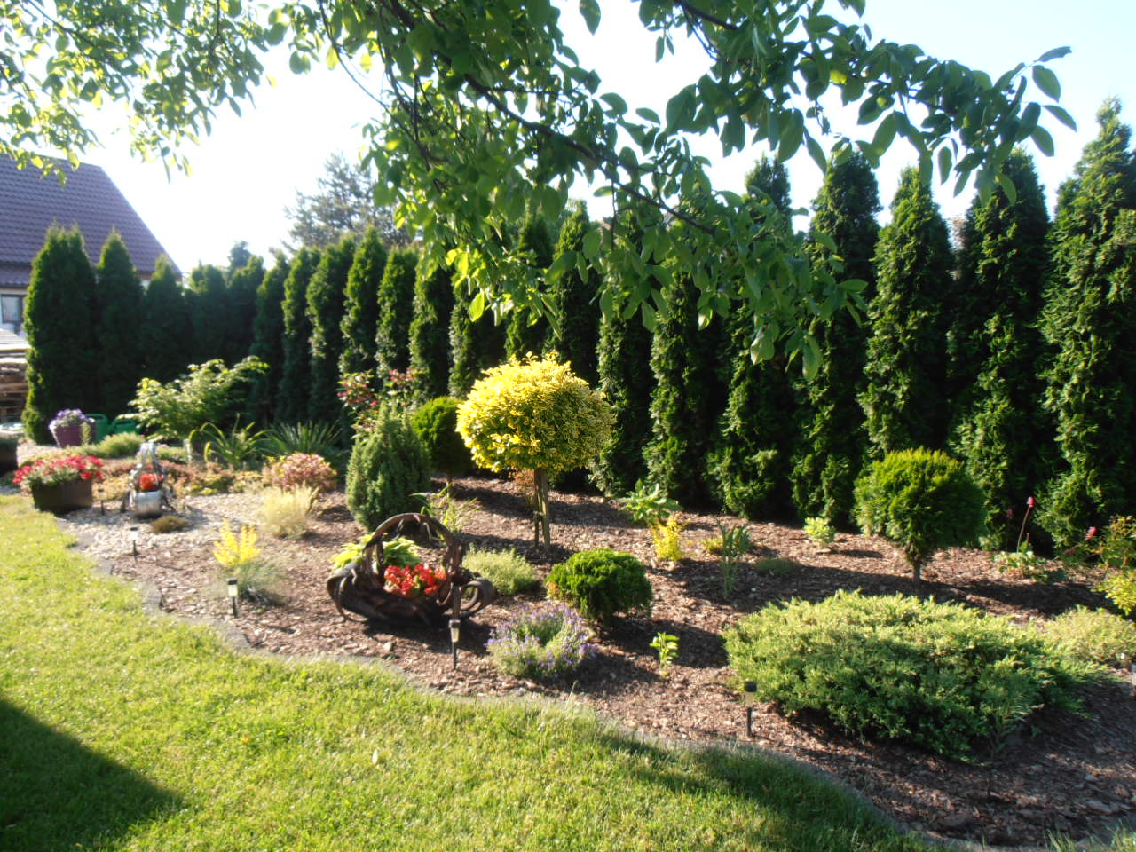 Wejscie do ogrodu i pierwszza zrobiona rabatka