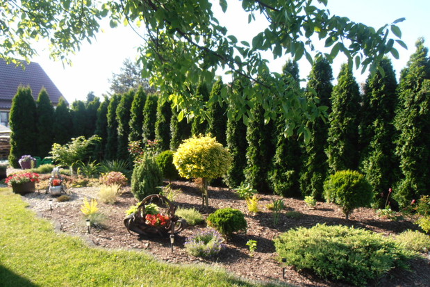 Wejscie do ogrodu i pierwszza zrobiona rabatka