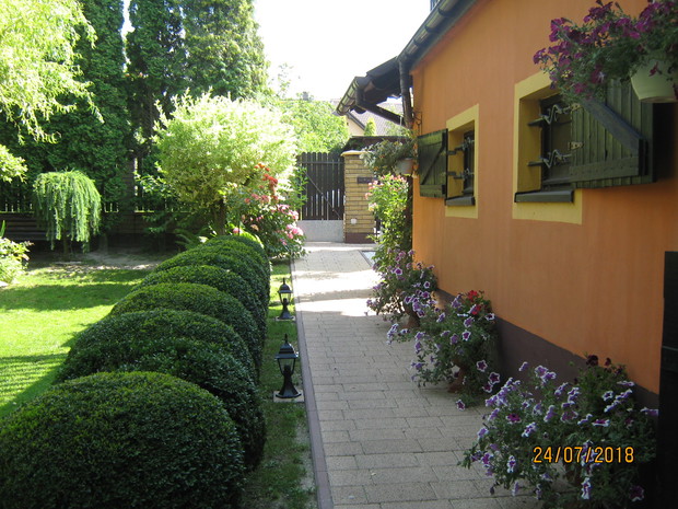 Widok całego chodnika prowadzącego od furtki do ganku. Dominującym akcentem jest szpaler bukszpanów ( formowany w kule ) w symbiozie z nasadzeniami kwiatowymi w donicach ( naprzeciwko ).