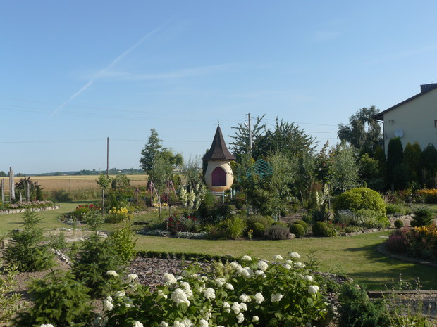 Widok od strony domu na ogród.