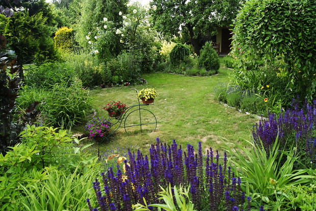 Widok ogólny na front działki