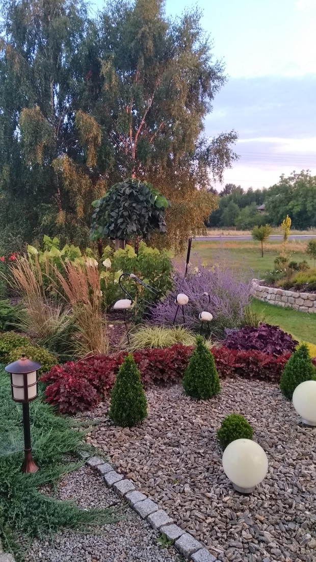 Widok z kuchennego okna...