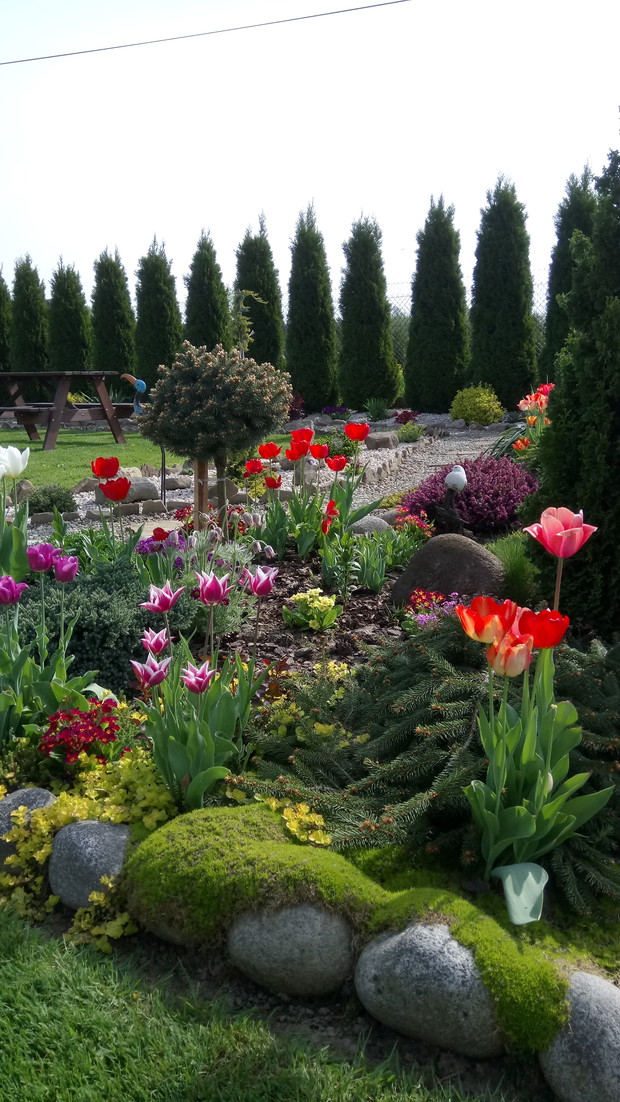 Wiosna w moim ogrodzie.