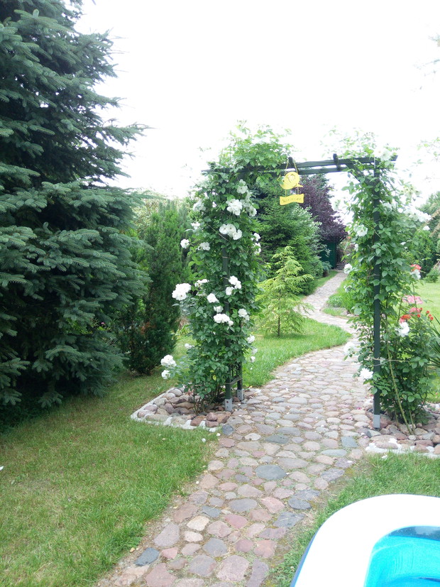 Witamy w magicznym ogrodzie