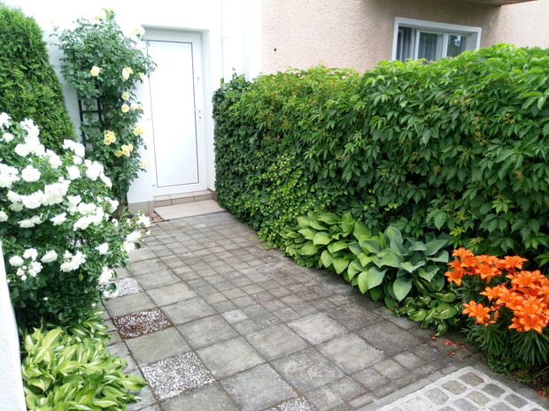 Własnej roboty kafle chodnikowe obrastają mchem. Piękne tajne, tylne wejście do domu