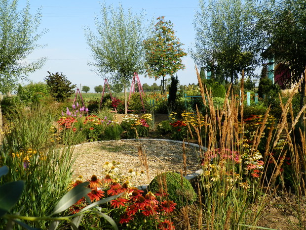 Wysepka z roślinami preriowymi.