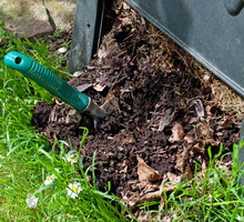 Często warto zastanowić się dwa razy, czy dane odpady powinny trafić do kompostownika. Jeśli mówimy np. o zarażonych roślinach, zdecydowanie bardziej zalecamy ich spalenie. (zdj.: Adobe Stock)