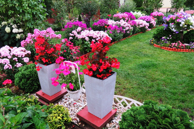 dopełnieniem całości ogrodu są donice z begoniami