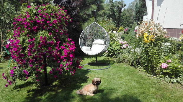 mój zakątek wypoczynkowy