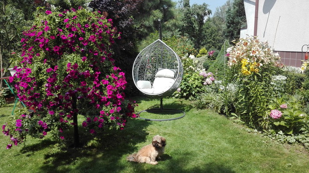 mój zakątek wypoczynkowy