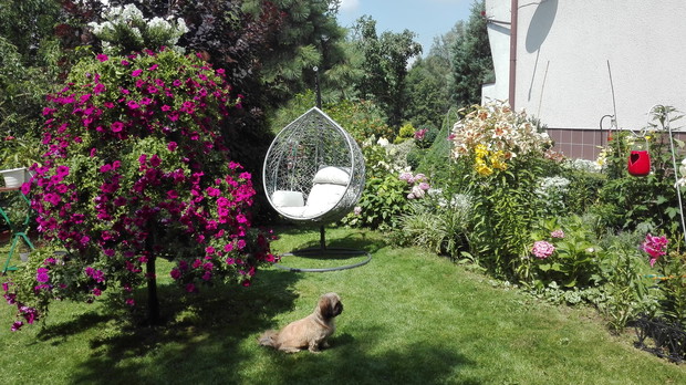 mój zakątek wypoczynkowy