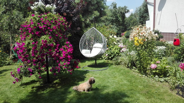 mój zakątek wypoczynkowy