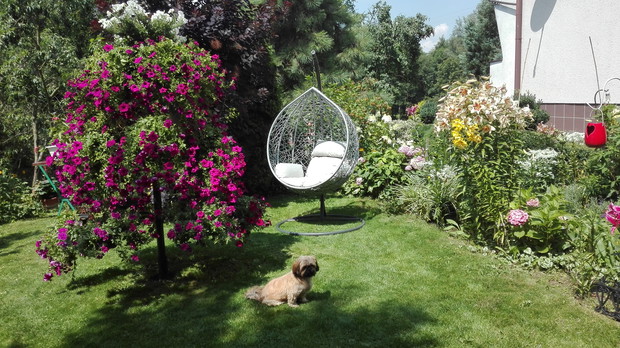 mój zakątek wypoczynkowy