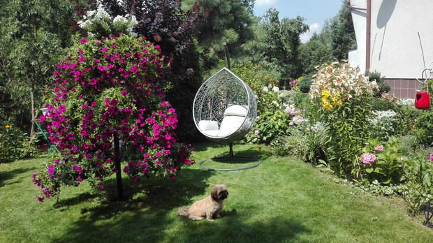 mój zakątek wypoczynkowy