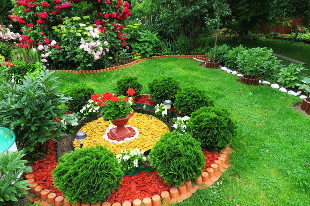 na pierwszym planie elegancje miejscu nadają kuliste karłowe odmiany żywotnika