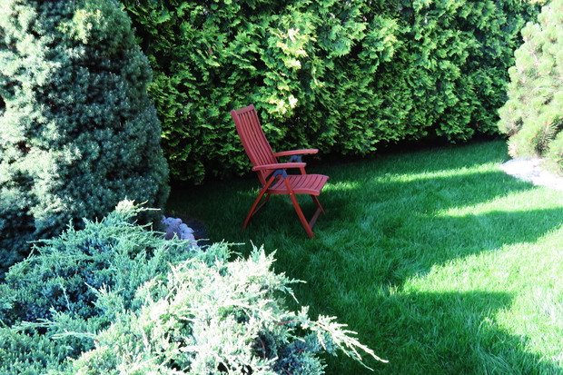  nasz ukochany tajemniczy zielony zakatek