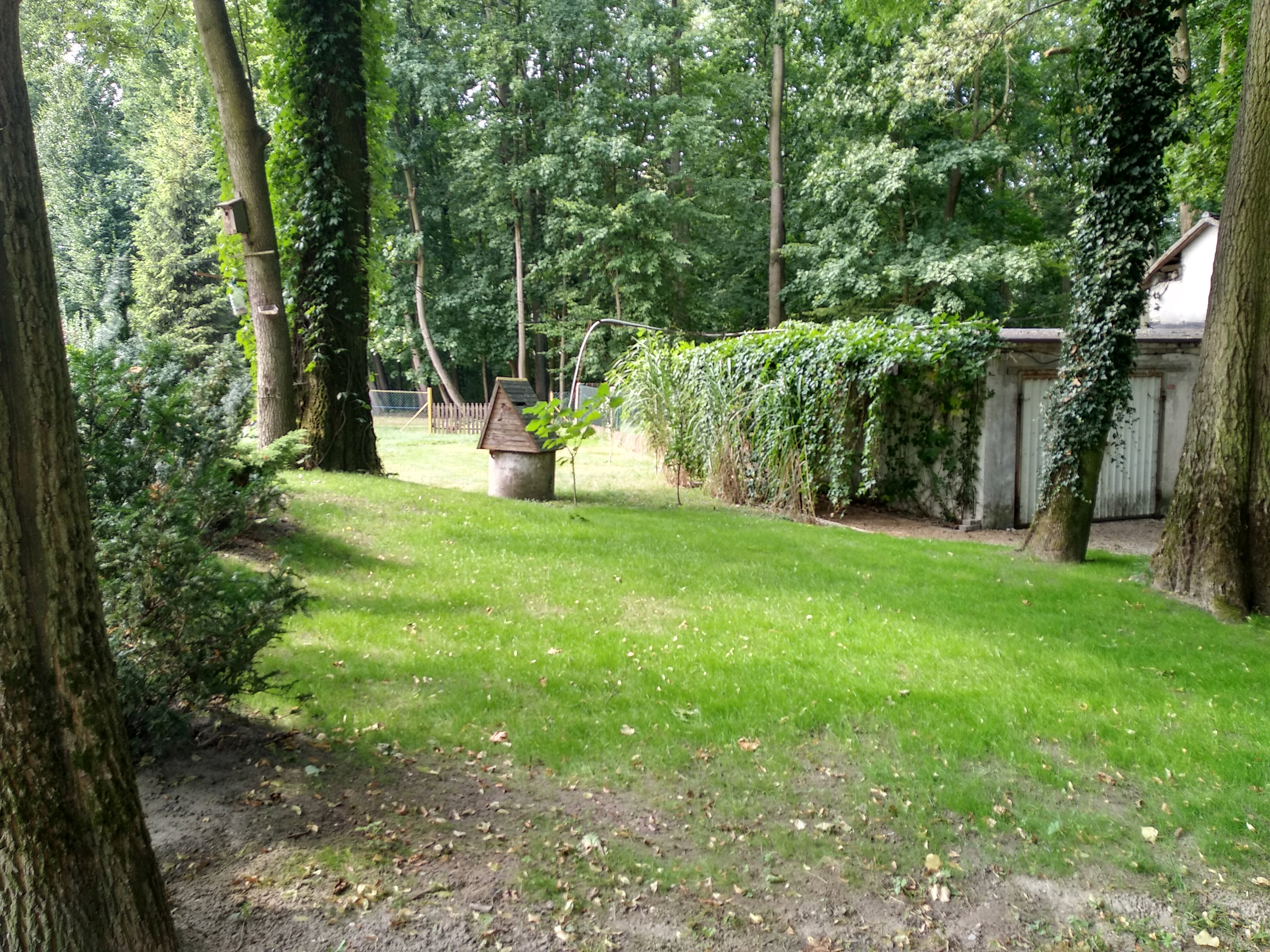 Niedawno posiana trawa i wejście do ogrodu