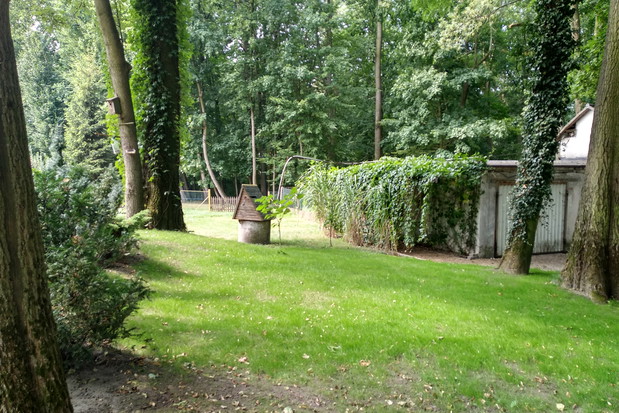 Niedawno posiana trawa i wejście do ogrodu