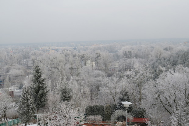 poranna szadź-widok z ogrodu na panoramę miasta