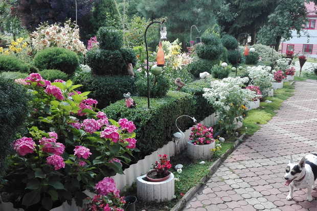 przydomowa ścieżka kwiatowa