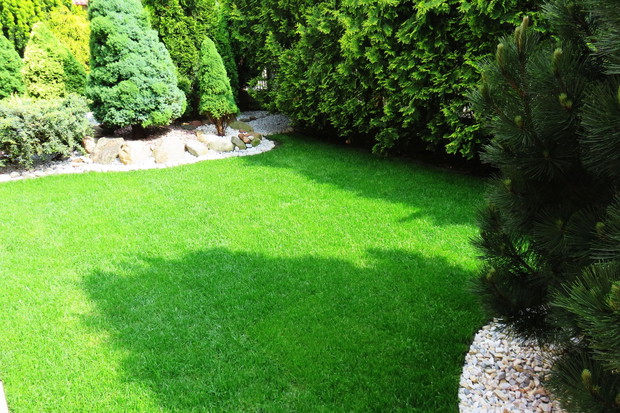 ulubione miejsce wnuków - w grę w piłkę