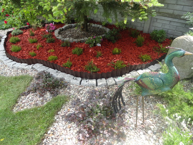 Wrzosy, wrzośce, azalie i cieniolubne debecje znalazły schronienie pod jodłą koreańska. Otoczone zostały czerwoną korą która wspaniale kontrastuje z zielenią wrzosowiska.