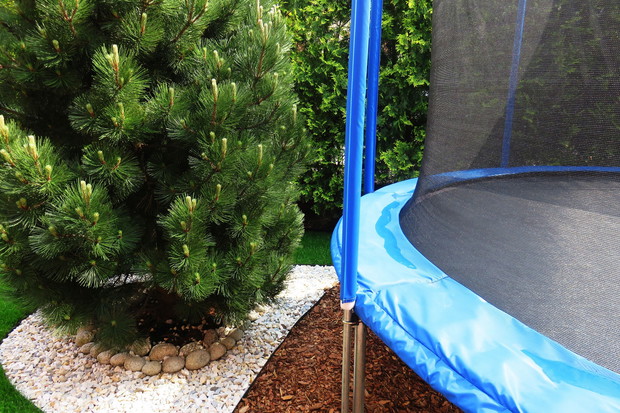 zakątek z trampoliną, oblegany przez wnuków