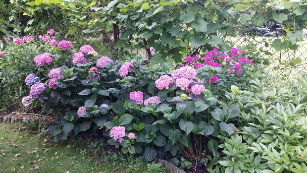 A to nasza czwarta strona świata.