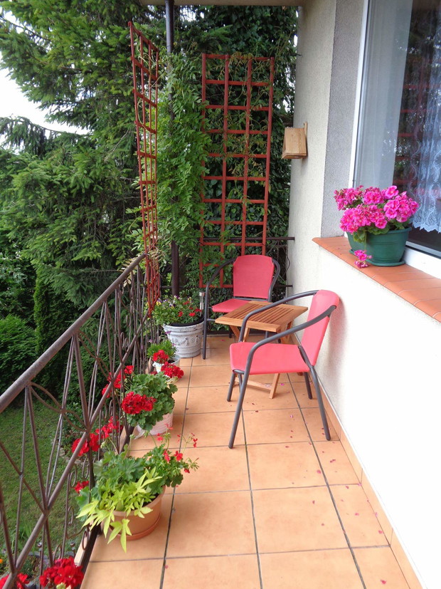 Balkon nie duży a i tu nie mogło zabraknąć kwiatów. 
