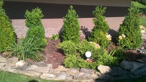 bukszpany pod balkonem