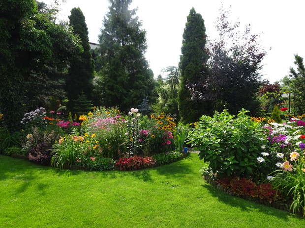 Byliny cieszą aż do jesieni, zmieniają się tylko kolory.