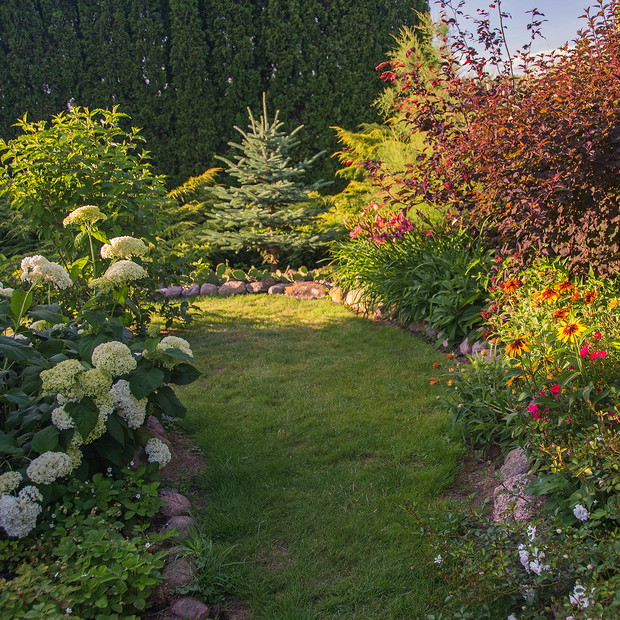 CZAS KWITNIENIA HORTENSJI