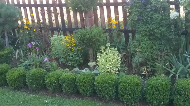 część rabaty za domem