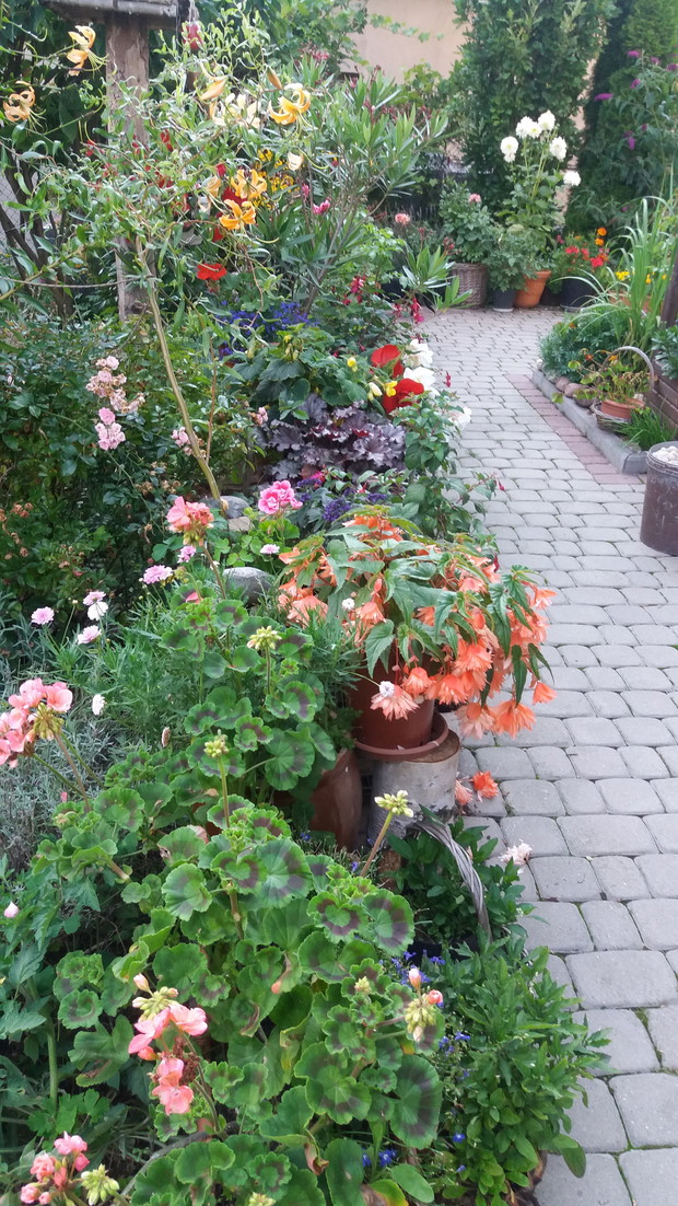 donice z kwiatami jednorocznymi 