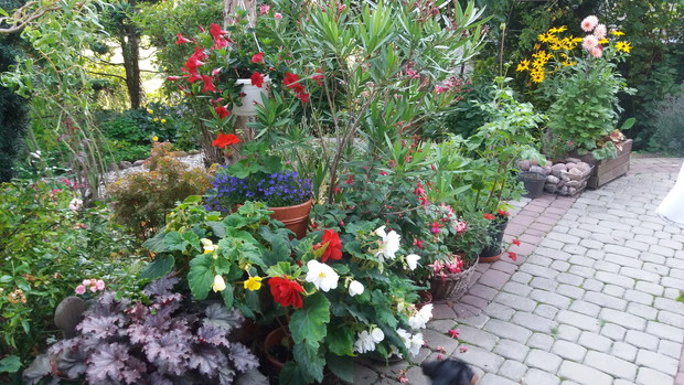 donice z kwiatami przy kąciku wypocznkowym