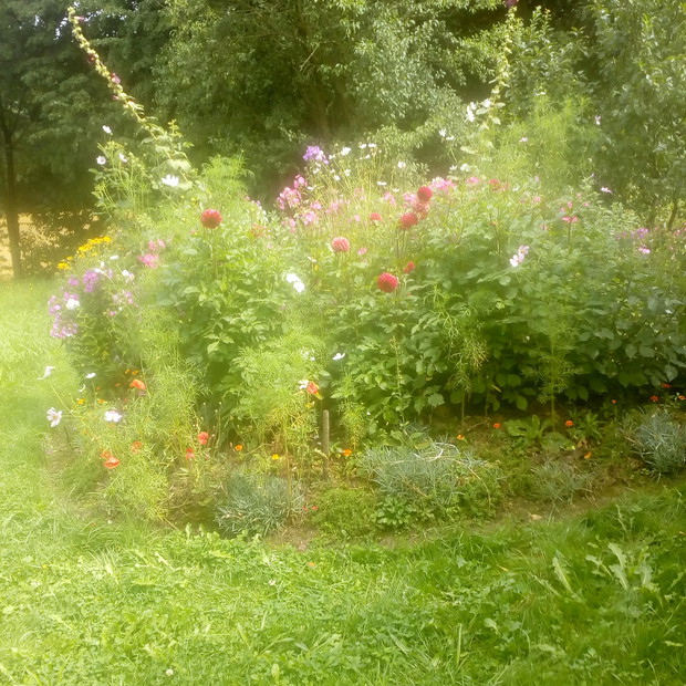 Dwa lata temu założyliśmy domową oczyszczalnię ścieków. Po skończeniu prac pozostał pagórek ziemi, który wykorzystałem w następujący sposób.