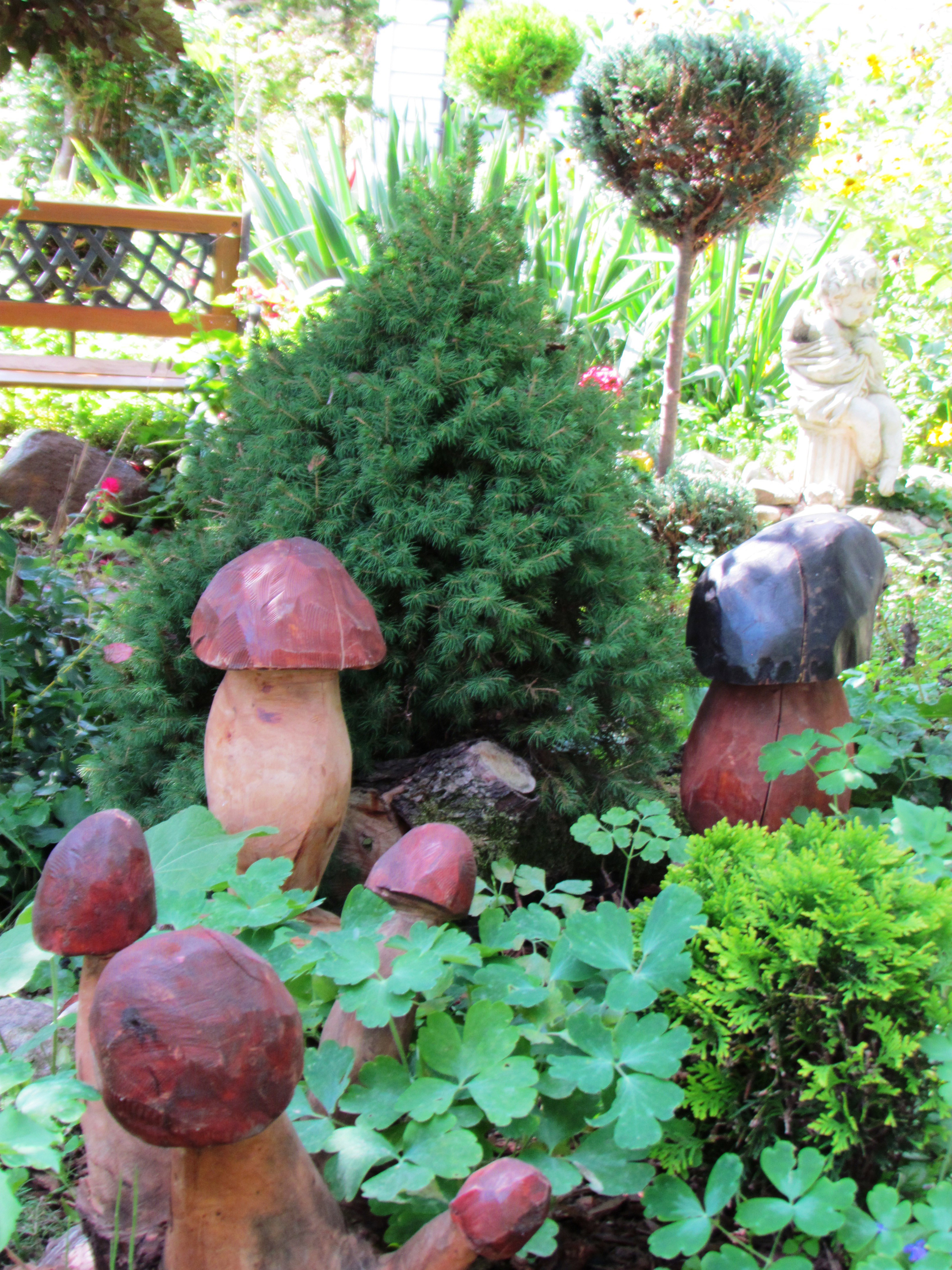 " Grzybowy Zakątek"