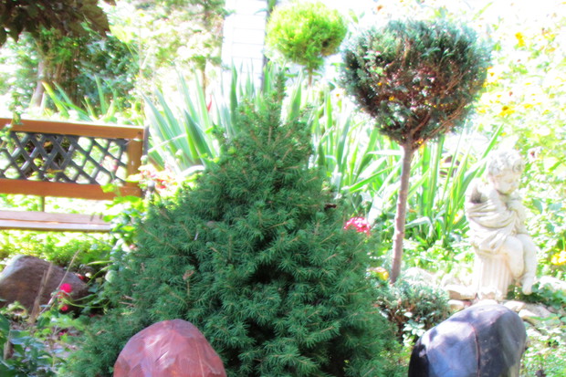 " Grzybowy Zakątek"