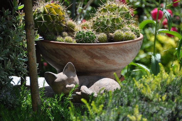 I jeszcze mały dodatek ....