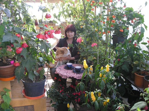 Ja wśród części moich egzotycznych roślin