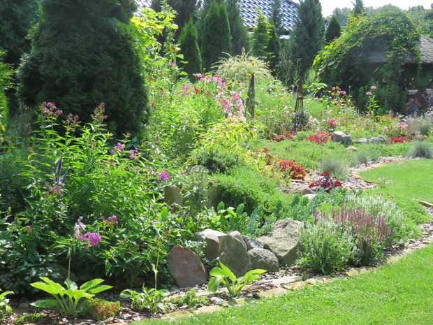 Jeden ze skalniaków.