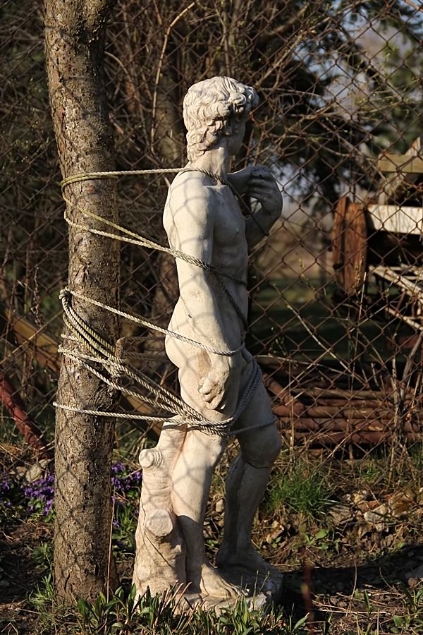 Jeśli ktoś się nieopacznie zapuści w najdalszy kąt ogrodu, trafi na Dawidka Florenckiego. Jest przywiązany, żeby mi przypadkiem nie uciekł. Znajomi artyści mówią, że instalacja mi się udała.