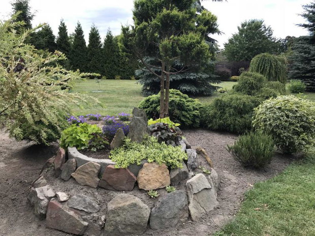 kamienny krąg z bylinami