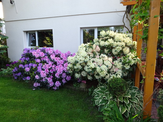 Każdego roku czekam na ten widok.