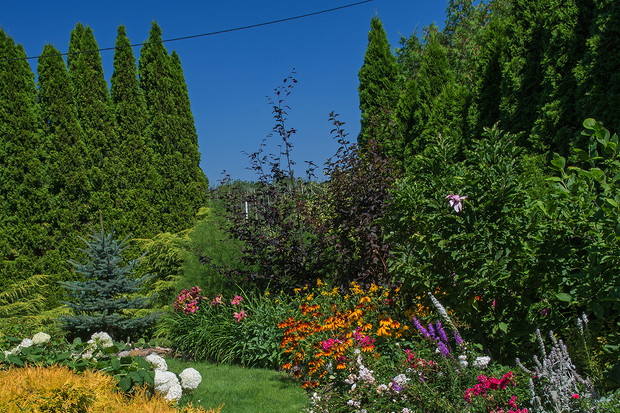 KWIATOWE RABATY SIERPIEŃ